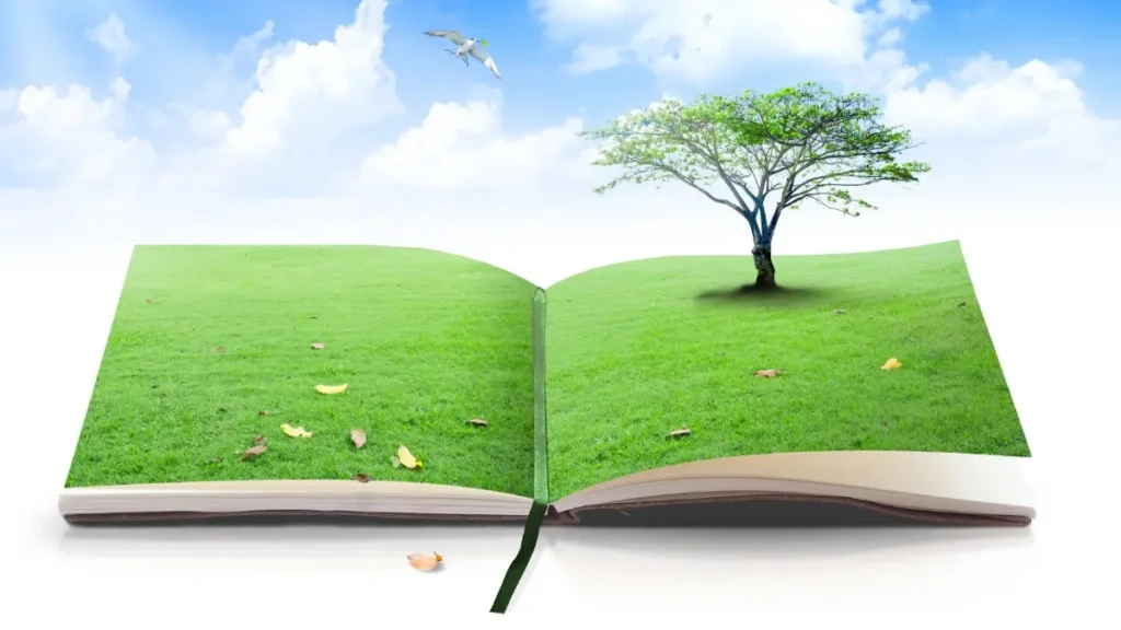 Melhores livros de direito ambiental