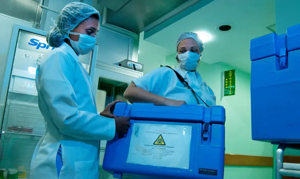 Brasil bate recorde de transplantes: 31 mil em 2025