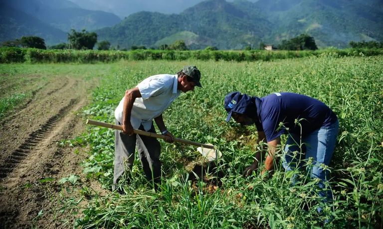 CAE aprova projeto que renegocia dívidas rurais com fundo do pré-sal CAE aprova projeto que renegocia dívidas rurais com fundo do pré-sal